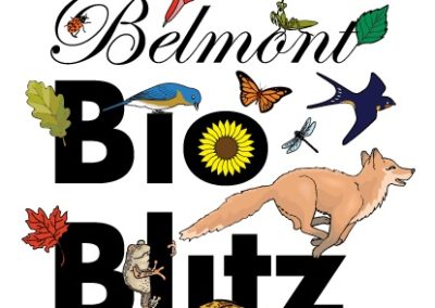 Visit our iNaturalist project: https://www.inaturalist.org/projects/belmontbioblitz