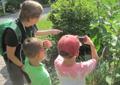Howard County Conservancy campers photograph nature to identify on iNaturalist and enter into art compilations.