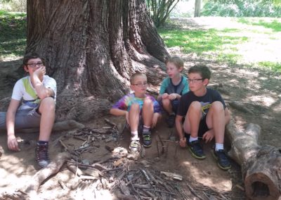 Howard County Conservancy Campers seek shade and play in the trees at Pleasant during Summer Nature Day Camp