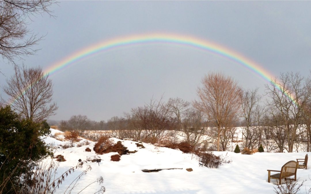 A rainbow appears over the snow on the Honors Garden at the Howard County Conservancy - Mt. Pleasant
