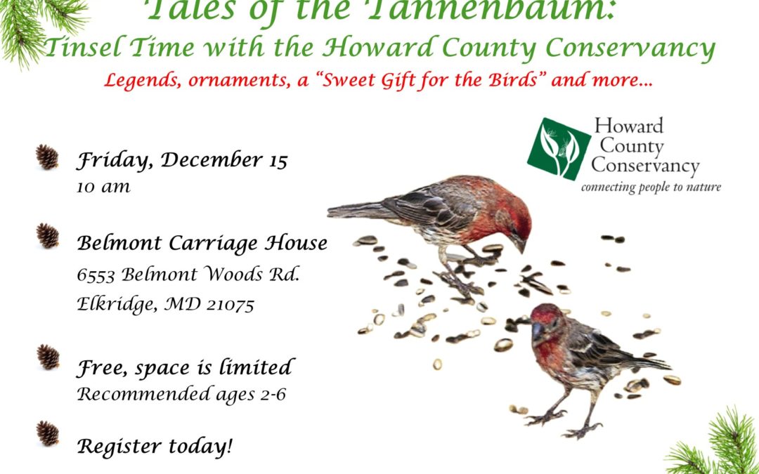 Tales of the Tannenbaum: Tinsel Time with the Howard County Conservancy