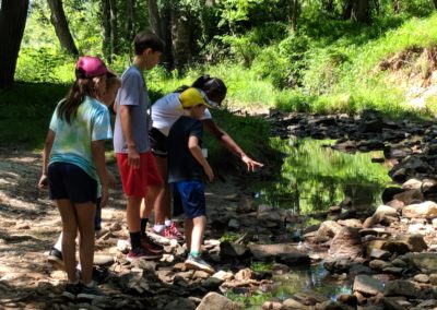 Campers at the Howard County Conservancy's Summer Nature Camp search through streams to find animals.