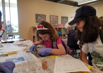 Campers at the Howard County Conservancy's Summer Nature Camp dissect owl pellets.