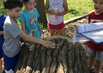 Campers at the Howard County Conservancy's Summer Nature Camp investigate insects on a rotting log.
