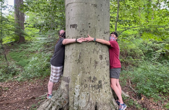 Wild Walk: We are the champions tree hike