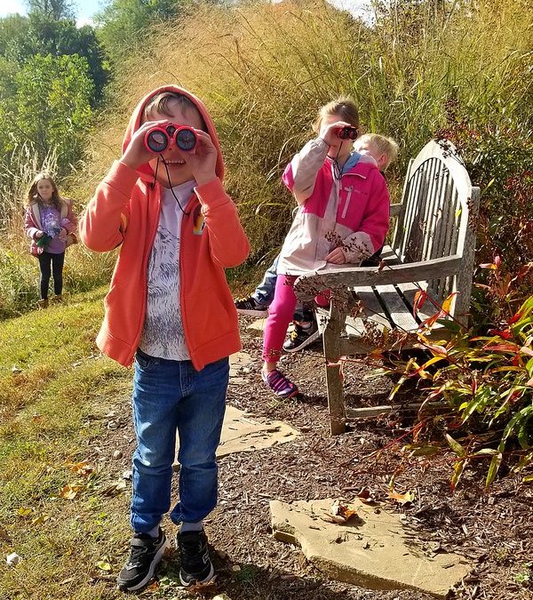 Postponed: Nature play: engage your little naturalists at home