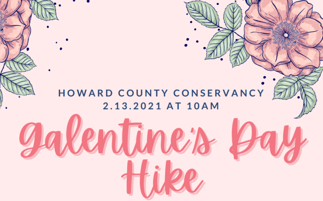 SOLD OUT: Galentine’s Day Hike