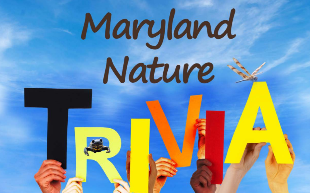 Maryland Nature Trivia