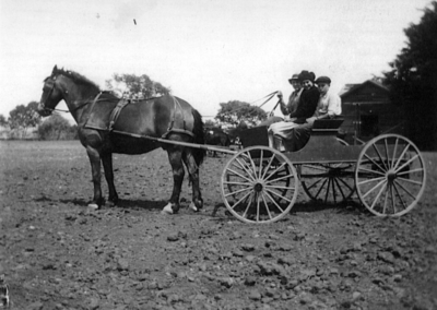 Old photograph of horse and carriage